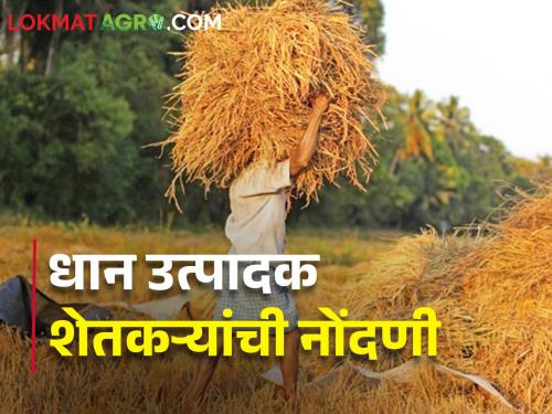 Latest News Call for online registration to paddy farmers | धान उत्पादक शेतकऱ्यांना ऑनलाईन नोंदणी महत्वाची का? 