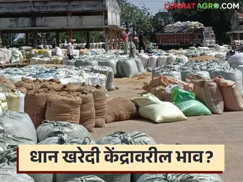 Latest news check todays market price of paddy in government base center see details | Paddy Market : आधारभूत केंद्रात आवक वाढली, धानाला काय मिळतोय दर? वाचा सविस्तर