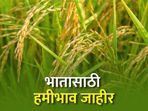 The government has announced a rate of Rs 2183 per quintal for paddy | शासनाकडून भाताला प्रतिक्विंटल २१८३ रुपये दर जाहीर