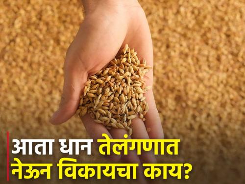 Rates lower than 'MSP' in Maharashtra; Government paddy purchase center is not open | महाराष्ट्रात 'एमएसपी'पेक्षा कमी दर; शासकीय धान खरेदी केंद्र सुरू हाेईना