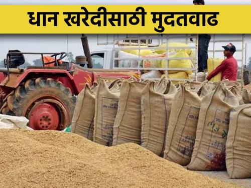 Registration extended till 31st December for purchase of paddy | भात खरेदीसाठी ३१ डिसेंबरपर्यंत नोंदणीला मुदतवाढ