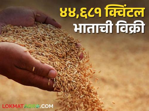 Rice MSP; along with the bonus amount of rice sale is credited to the farmer's account | Rice MSP बोनससह भात विक्रीची रक्कम शेतकऱ्यांच्या खात्यावर जमा