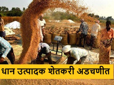 Latest News Paddy Farmers Awaiting Incentive Subsidy by government in loksabha election | शेतकऱ्यांना मिळणारी प्रोत्साहन रक्कम आचारसंहितेत अडकली? शेतकरी काय म्हणाले.... 