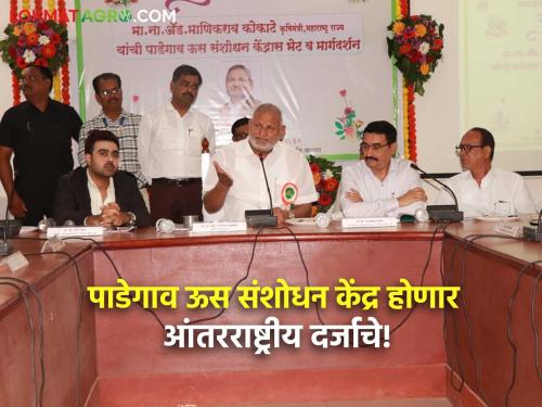 Padegaon Sugarcane Research Center, considered the cradle of sugarcane, will be of international standard – Agriculture Minister Manikrao Kokate | ऊसाची पंढरी समजल्या जाणारे पाडेगाव ऊस संशोधन केंद्र होणार आंतरराष्ट्रीय दर्जाचे – कृषिमंत्री माणिकराव कोकाटे