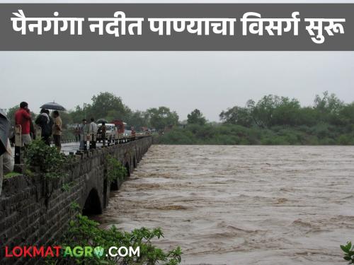 Read the alert warning to the people along the Panganga river in detail  | पैनगंगा नदीकाठच्या नागरिकांना सर्तकतेचा इशारा वाचा सविस्तर 