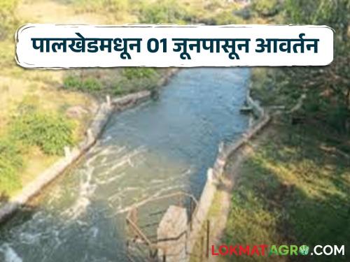 Latest News Non-irrigation cycle from Palkhed left canal, discharge from 1 june | Water Discharged : पालखेड डावा कालव्यातुन बिगर सिंचन आवर्तन, उद्यापासून विसर्ग, वाचा सविस्तर 