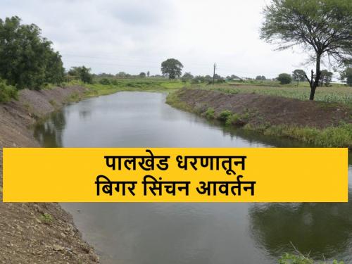 Latest News Non-irrigation diversion from Palkhed Dam and Left Canal | पालखेड धरण व डावा कालव्यातून बिगर सिंचन आवर्तन, एसारपीएफची तुकडीही तैनात 