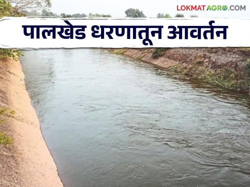 Latest news No satisfactory rainfall in Manmad area of Nashik, circulation from Palkhed Dam  | Agriculture News : नाशिकच्या मनमाड परिसरात समाधानकारक पाऊस नाही, पालखेड धरणातून आवर्तन 