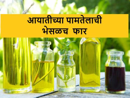 At least 60 percent palm oil adulteration in refined edible oil; 7 to 14 chemicals are also mixed | रिफाइंड खाद्यतेलात किमान ६० टक्के पामतेलाची भेसळ; ७ ते १४ रसायनेही मिसळतात