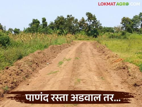The government is taking this important decision to remove encroachments on Panand Road; GR will be issued soon | पाणंद रस्त्यावर झालेले अतिक्रमण काढण्यासाठी शासन घेतंय 'हा' महत्वपूर्ण निर्णय; लवकरच जीआर काढणार