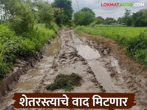 Now every farm will get a 12 foot farm road; 'This' scheme will come for farm panand roads | आता प्रत्येक शेताला मिळणार १२ फुटांचा शेतरस्ता; पाणंद रस्त्यांसाठी येणार 'ही' योजना