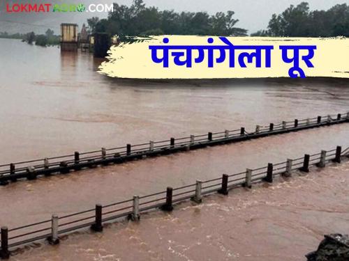 In Kolhapur, due to heavy rainfall in the dam area, the level of rivers has risen rapidly | कोल्हापूर जिल्ह्यात धरणक्षेत्रात जोरदार पाऊस नद्यांच्या पातळीत झपाट्याने वाढ