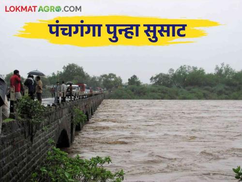 Kolhapur Flood: Panchganga river faces danger again due to large discharge from Radhanagari, Warna dams | Kolhapur Flood: राधानगरी, वारणा धरणांतून मोठा विसर्ग पंचगंगा नदी पुन्हा धोक्याकडे