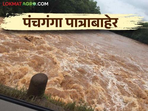 74 check dams in Kolhapur district under water, these four dams filled 100 percent | कोल्हापूर जिल्ह्यातील ७४ बंधारे पाण्याखाली ही चार धरणे भरली १०० टक्के