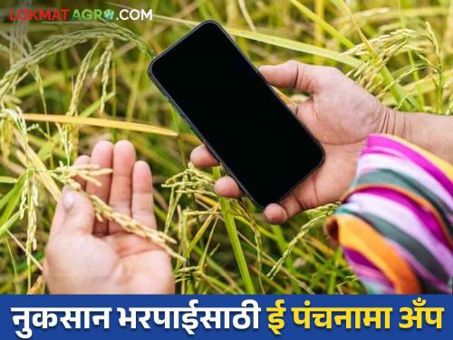 Latest news E-Panchnama app will now be used in Nashik district to get compensation | E Panchanama : नुकसानभरपाई एका आठवड्यात खात्यावर, आता नाशिकच्या शेतकऱ्यांसाठी ई-पंचनामा अँप 