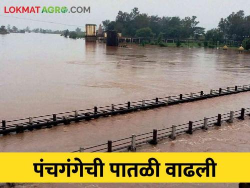 In Kolhapur these four taluks exceeded the June average, increasing the water level of the Panchganga river | कोल्हापूरात या चार तालुक्यांनी जूनची सरासरी ओलांडली, पंचगंगेच्या पाणी पातळीत वाढ