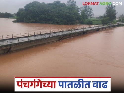 Water release from Radhanagari dam continues; Panchganga level rises by 7 feet | राधानगरी धरणातून पाण्याचा विसर्ग कायम; पंचगंगेची पातळी ७ फुटांनी वाढली