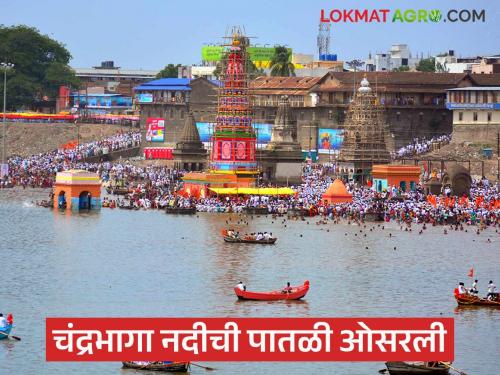 And finally the threat of flood on the Wari was averted; the level of the Chandrabhaga river receded. | अन् अखेर वारीवरील पुराचा धोका टळला; चंद्रभागा नदीची पातळी ओसरली