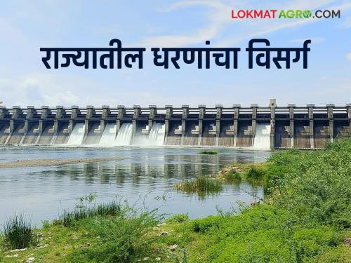 Latest News maharashtra Rain Rainfall in nearest dam and discharge from dam | राज्यात कुठे किती पाऊस झाला, कुठल्या धरणातून सर्वाधिक विसर्ग, वाचा सविस्तर 