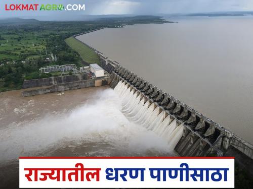 Latest News dam Storage 29 major dams in the state are maharashtra 100 percent full, read water storage till September 22 | Maharashtra Dam Storage : राज्यातील 'ही' 29 मोठी धरणे 100 टक्के भरली, वाचा 22 सप्टेंबरपर्यंतचा पाणीसाठा 