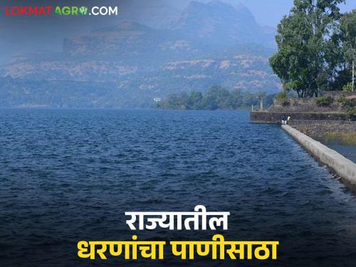 Latest News Jayakwadi, Gangapur, Ujani, Koyna dams storage level, read maharashtra dam storage | जायकवाडी, गंगापूर, उजनी, कोयना 'ही' धरणे किती टक्क्यांवर आली, वाचा राज्याचा पाणीसाठा 