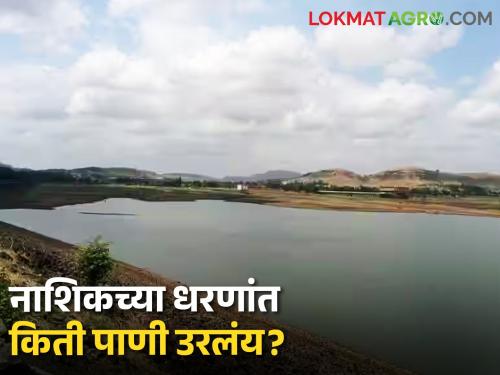 Latest News 20 percent water storage left in dams of Nashik district see details | Dam Storage : नाशिक जिल्ह्यातील धरणांत केवळ 20 टक्के पाणीसाठा शिल्लक, कुठे-किती पाणी? 