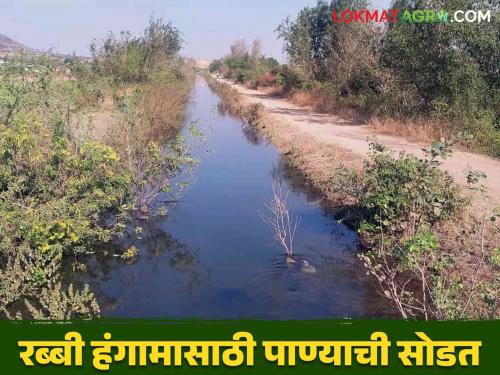 Latest News Agriculture New Water for an area of ​​30 thousand hectares in Wardha district read in detail  | Agriculture News : वर्धा जिल्ह्यातील 'या' 30 हजार हेक्टर क्षेत्रासाठी मुबलक पाणी, वाचा सविस्तर 