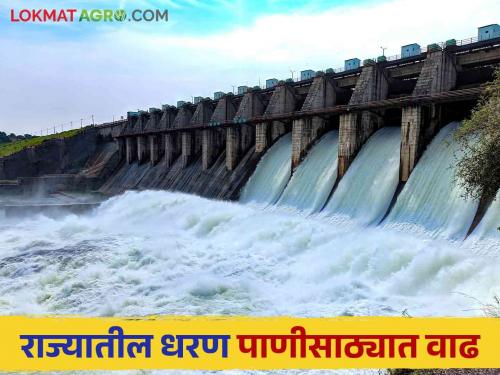 Latest news Maharashtra Dam Storage Major dams in maharashtra full jayakwadi, gangapur know in detail  | Maharashtra Dam Storage : अहमदनगरची सर्व धरणे भरली, जायकवाडी, गंगापूर धरणे किती भरली? जाणून घ्या सविस्तर 