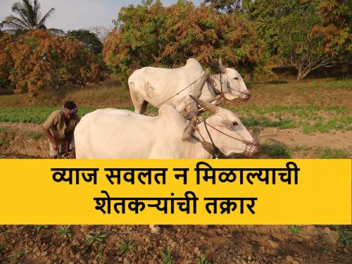 Farmers who pay loans on time deprived of interest rate waiver scheme, what is the case? | मुदतीत कर्ज भरणारे शेतकरी व्याजदरमाफी योजनेपासून वंचित, काय आहे प्रकरण?