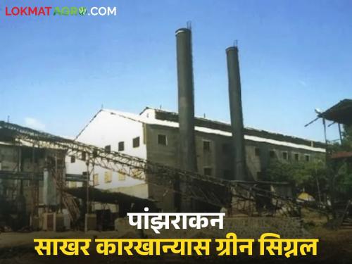 Latest news Green light to start panzarakan sugar factory in Dhule district, read in detail | धुळे जिल्ह्यातील 'हा' साखर कारखाना सुरु करण्यास हिरवा कंदील, वाचा सविस्तर 