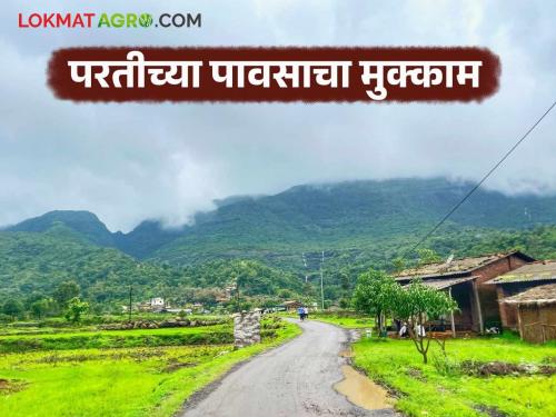 Latest News Maharashtra Rain return monsoon situation Low pressure turns into severe low pressure | Maharashtra Rain : कमी दाबाचे तीव्र कमी दाबात रूपांतर, महाराष्ट्रात परतीच्या मान्सूनचा मुक्काम कधीपर्यंत