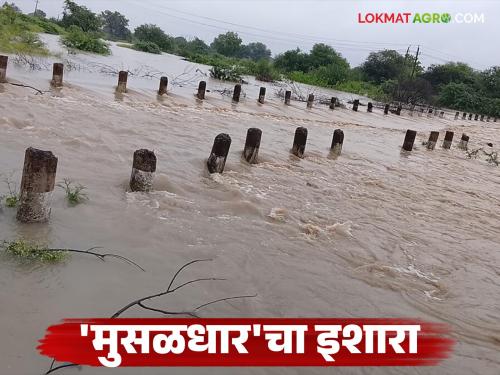 Maharashtra Rain Alert : The return monsoon is strong; Heavy rains will fall in these districts of the state today and tomorrow | Maharashtra Rain Alert : परतीचा मान्सून जोरदार; राज्यात आज व उद्या 'या' जिल्ह्यांत पडणार मुसळधार पाऊस