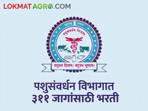 Decision to recruit 311 more vacancies for this post in Animal Husbandry Department; Read in detail | पशुसंवर्धन विभागात या पदासाठी अजून ३११ जागांची भरती करण्याचा निर्णय; वाचा सविस्तर