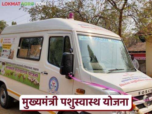 Latest News Now graduates opportunity to replace veterinary officers on mobile veterinary team | आता फिरते पशुचिकित्सा पथकावर पशुवैद्यकीय अधिकाऱ्यांऐवजी यांना मिळणार संधी