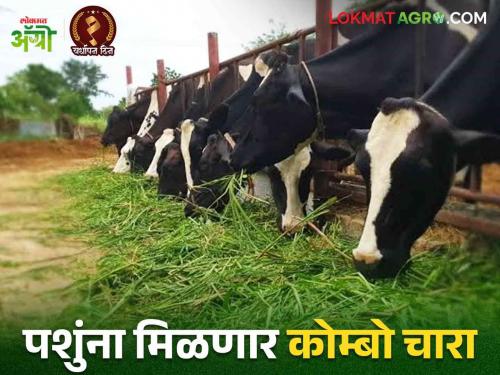 Animals will get local and foreign fodder | Animals will get local and foreign fodder : पशुंना मिळणार देशीसह विदेशी चारा