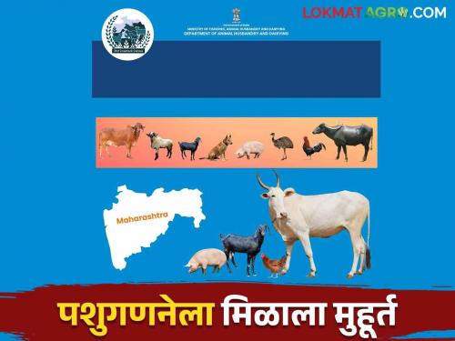 21st livestock census will start from 25th October please farmers give real information | Pashu Ganana 2024 : २१ वी पशुगणनेला २५ ऑक्टोबरपासून होणार सुरवात पशुपालाकांनी खरी माहिती द्या