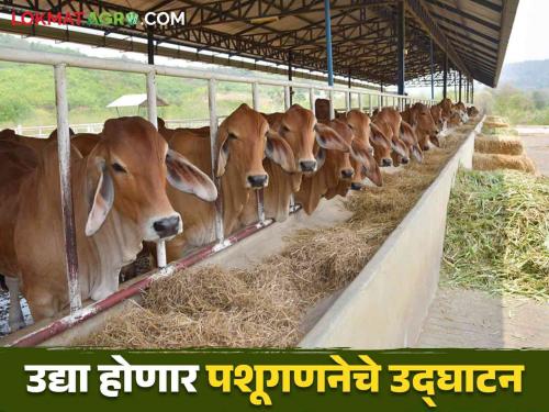 Pashu Ganana 2024: The country's 21st livestock census will be completed during this period; after Diwali in Marathwada  | Pashu Ganana 2024: देशातील २१ वी पाळीव पशुगणना 'या' कालावधीत होणार पूर्ण ; मराठवाड्यात दिवाळीनंतर मुहूर्त 