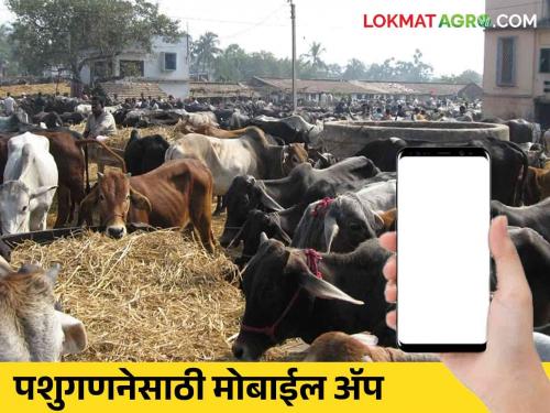 For the first time, mobile app will be used in livestock census; How to do paperless work Animal husbandry department read in detail | पशुगणनेत प्रथमच 'मोबाइल ॲप'चा होणार वापर; पेपरलेस कामकाज कसे करणार पशुसंवर्धन विभाग वाचा सविस्तर