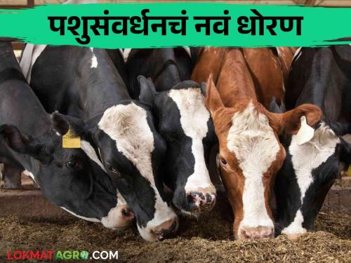 Finally the state government accepted Tukaram Mundhe's animal husbandry policy as it is.. read in detail | अखेर तुकाराम मुंढे यांचे पशुसंवर्धन धोरण राज्य सरकारने आहे तसे स्वीकारले.. वाचा सविस्तर