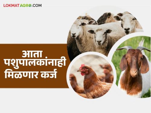 Livestock farmers will now get loans and insurance like farmers; these businesses included? Read in detail | पशुपालकांना मिळणार आता शेतीप्रमाणे कर्ज आणि विमा; 'या' व्यवसायांचा समावेश? वाचा सविस्तर
