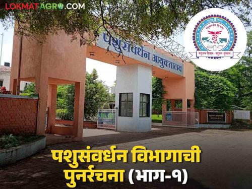 Pashusavardhan Vibhag Maharashtra : 132 years of journey of the state's animal husbandry department; Read in detail | Pashusavardhan Vibhag Maharashtra : राज्याच्या पशुसंवर्धन विभागाची १३२ वर्षांची वाटचाल; वाचा सविस्तर