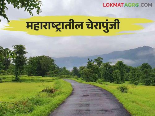 Read more about this village which is the highest rainfall in Maharashtra so far | आतापर्यंत महाराष्ट्रात सर्वाधिक पाऊस पडला या गावात वाचा सविस्तर