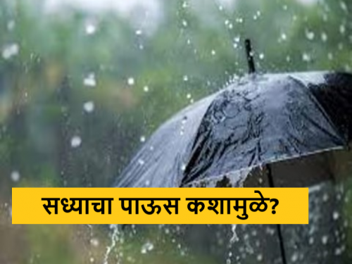 Latest News Maharashtra Rain Update current rain and how will the rain be in August Know in detail  | Maharashtra Rain Update : सध्याचा पाऊस कशामुळे अन् ऑगस्ट महिन्यात पाऊस कसा असेल? जाणून घ्या सविस्तर 