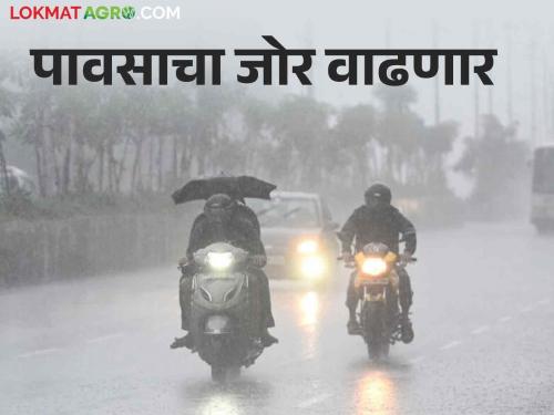 Maharashtra Weather Update: Rains will increase in the state now; Where did you warn? | Maharashtra Weather Update राज्यामध्ये पावसाचा जोर आता आणखी वाढणार; कुठे दिला इशारा?