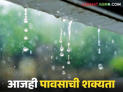 Maharsahtra Weather Update : Chance of rain with lightning in this place in the state today | Maharsahtra Weather Update : आजही राज्यात या ठिकाणी विजांसह पावसाची शक्यता