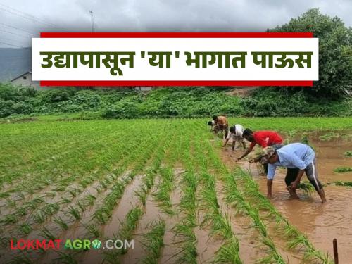 Latest News maharashtra rain Heavy rains in 18 district from July 21st to the first Shrawan Monday, read in detail | Maharashtra Rain : 21 जुलैपासून ते पहिल्या श्रावणी सोमवारपर्यंत 'या' जिल्ह्यात मुसळधार, वाचा सविस्तर