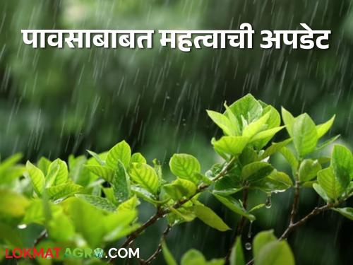 Latest News Maharashtra Rain Update Rains will stop in Maharashtra from '24' October, read in detail | Maharashtra Rain Update : पावसाबाबत महत्वाचे! महाराष्ट्रात 'या' तारखेपासून पावसाची उघडीप, वाचा सविस्तर 