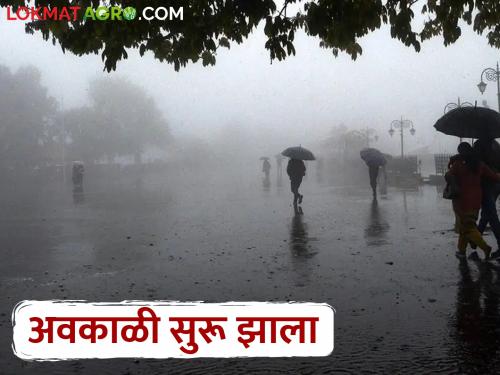 Maharashtra Weather Update How many more days of hailstorm in the state | Maharashtra Weather Update राज्यात अजून किती दिवस अवकाळीसह गारपीट