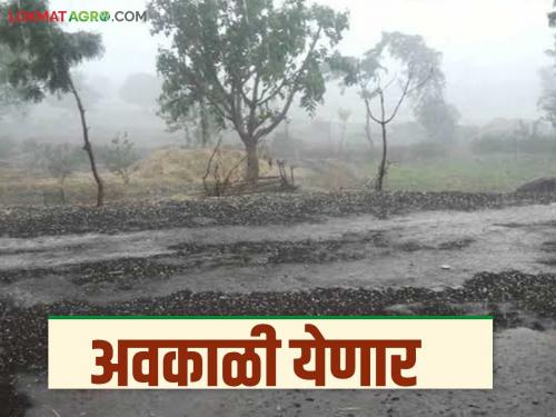 Unseasonal rains with gusty winds likely in these districts of the state | राज्यात या जिल्ह्यांत वादळी वाऱ्यांसह अवकाळी पावसाची शक्यता