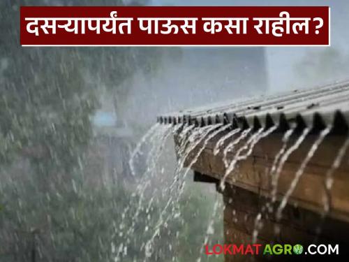 Latest News Maharashtra Rain How will the rain be in Maharashtra till Dasara, see date-wise rain probability | Maharashtra Rain : महाराष्ट्रात दसऱ्यापर्यंत पाऊस कसा असेल, पहा तारखानिहाय कुठे- कुठे पाऊस